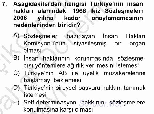 Uluslararası Örgütler 2012 - 2013 Ara Sınavı 7.Soru