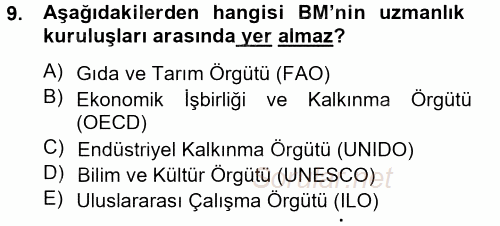 Uluslararası Örgütler 2012 - 2013 Ara Sınavı 9.Soru