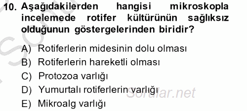 Balık Yetiştiriciliği 2014 - 2015 Dönem Sonu Sınavı 10.Soru