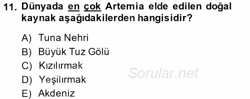 Balık Yetiştiriciliği 2014 - 2015 Dönem Sonu Sınavı 11.Soru