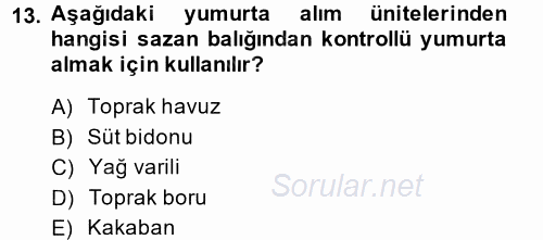 Balık Yetiştiriciliği 2014 - 2015 Dönem Sonu Sınavı 13.Soru