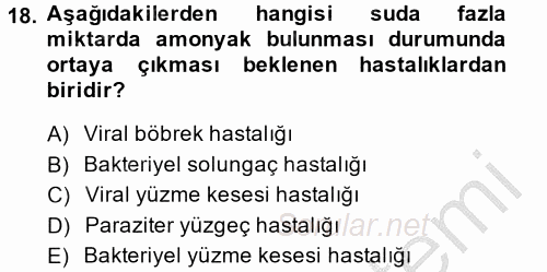 Balık Yetiştiriciliği 2014 - 2015 Dönem Sonu Sınavı 18.Soru