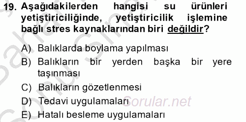 Balık Yetiştiriciliği 2014 - 2015 Dönem Sonu Sınavı 19.Soru