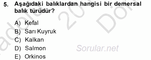 Balık Yetiştiriciliği 2014 - 2015 Dönem Sonu Sınavı 5.Soru