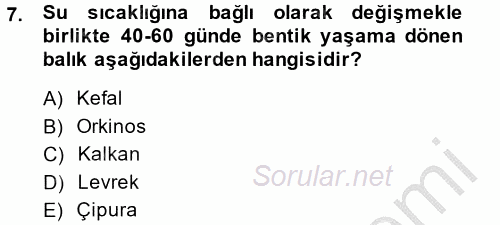 Balık Yetiştiriciliği 2014 - 2015 Dönem Sonu Sınavı 7.Soru