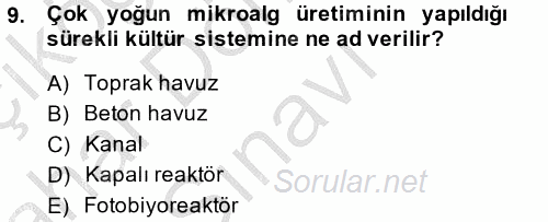 Balık Yetiştiriciliği 2014 - 2015 Dönem Sonu Sınavı 9.Soru
