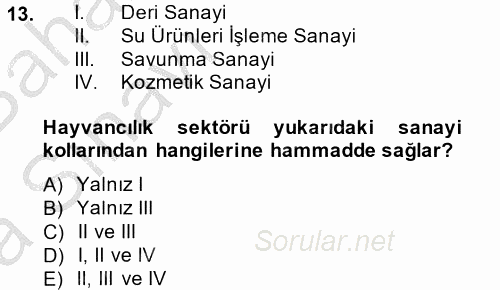 Hayvancılık Ekonomisi 2014 - 2015 Ara Sınavı 13.Soru