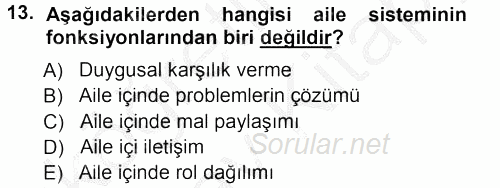Aile İçi Uyumlu Etkileşim 2012 - 2013 Ara Sınavı 13.Soru