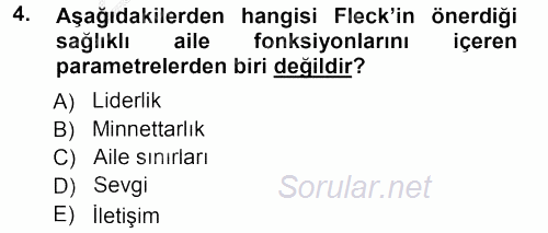 Aile İçi Uyumlu Etkileşim 2012 - 2013 Ara Sınavı 4.Soru