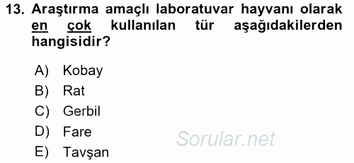 Temel Klinik Bilgisi 2015 - 2016 Ara Sınavı 13.Soru