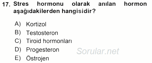 Çatışma ve Stres Yönetimi 2 2015 - 2016 Tek Ders Sınavı 17.Soru