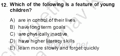 Çocuklara Yabancı Dil Öğretimi 1 2013 - 2014 Ara Sınavı 12.Soru