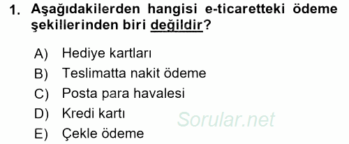 Dış Ticarette Bilgisayar Uygulamaları 2016 - 2017 Ara Sınavı 1.Soru