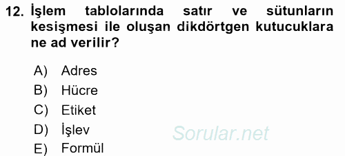 Dış Ticarette Bilgisayar Uygulamaları 2016 - 2017 Ara Sınavı 12.Soru