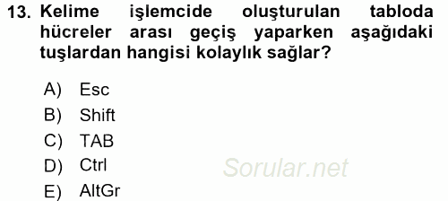 Dış Ticarette Bilgisayar Uygulamaları 2016 - 2017 Ara Sınavı 13.Soru