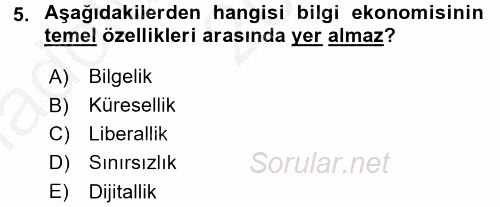 Dış Ticarette Bilgisayar Uygulamaları 2016 - 2017 Ara Sınavı 5.Soru