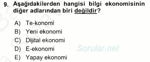 Dış Ticarette Bilgisayar Uygulamaları 2016 - 2017 Ara Sınavı 9.Soru