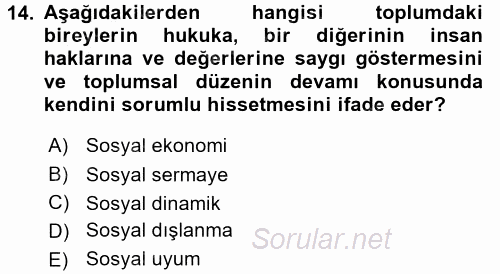 Sosyal Hizmet Kuruluşları 2016 - 2017 Dönem Sonu Sınavı 14.Soru