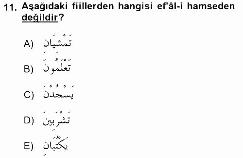 Arapça 2 2016 - 2017 Ara Sınavı 11.Soru