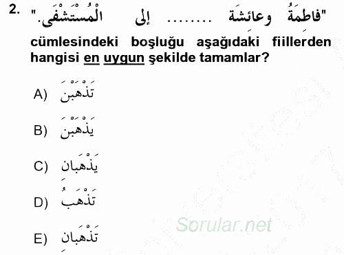 Arapça 2 2016 - 2017 Ara Sınavı 2.Soru