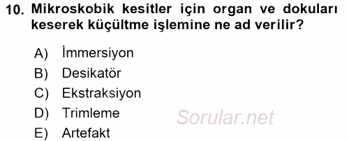 Temel Veteriner Patoloji 2017 - 2018 Ara Sınavı 10.Soru