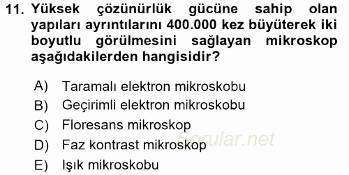 Temel Veteriner Patoloji 2017 - 2018 Ara Sınavı 11.Soru