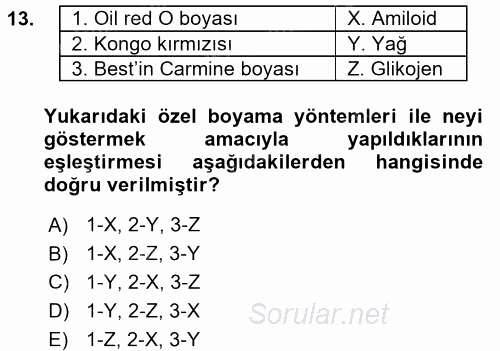 Temel Veteriner Patoloji 2017 - 2018 Ara Sınavı 13.Soru