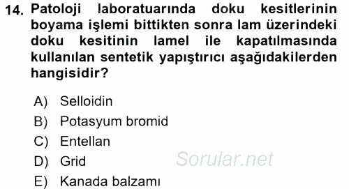 Temel Veteriner Patoloji 2017 - 2018 Ara Sınavı 14.Soru