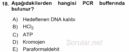 Temel Veteriner Patoloji 2017 - 2018 Ara Sınavı 18.Soru