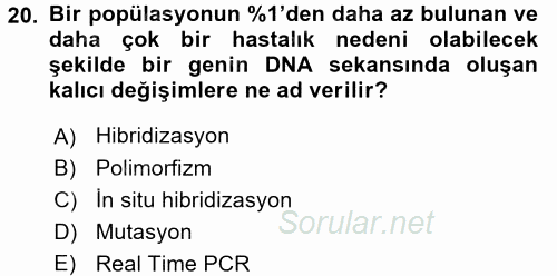 Temel Veteriner Patoloji 2017 - 2018 Ara Sınavı 20.Soru