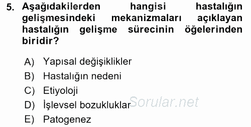 Temel Veteriner Patoloji 2017 - 2018 Ara Sınavı 5.Soru