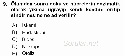 Temel Veteriner Patoloji 2017 - 2018 Ara Sınavı 9.Soru