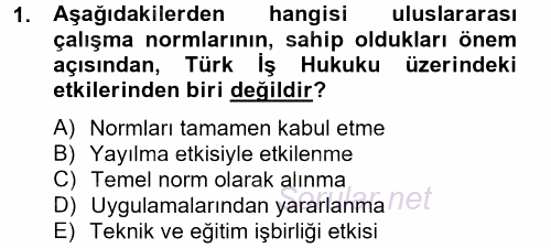 Uluslararası Sosyal Politika 2013 - 2014 Ara Sınavı 1.Soru