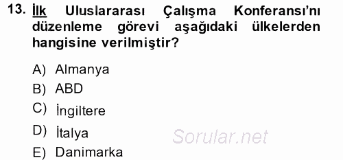 Uluslararası Sosyal Politika 2013 - 2014 Ara Sınavı 13.Soru