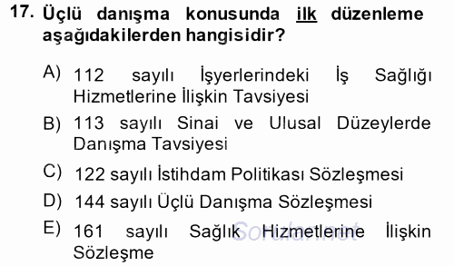 Uluslararası Sosyal Politika 2013 - 2014 Ara Sınavı 17.Soru