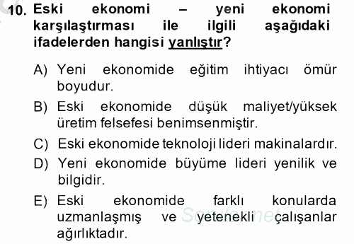 Muhasebede Bilgi Yönetimi 2013 - 2014 Ara Sınavı 10.Soru