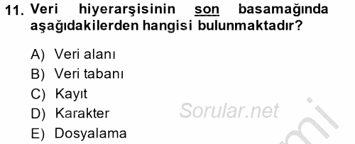 Muhasebede Bilgi Yönetimi 2013 - 2014 Ara Sınavı 11.Soru