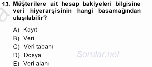 Muhasebede Bilgi Yönetimi 2013 - 2014 Ara Sınavı 13.Soru