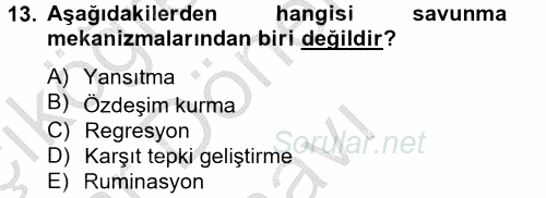 Davranış Bilimleri 2 2012 - 2013 Dönem Sonu Sınavı 13.Soru