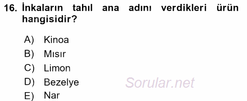 Dünya Mutfakları 1 2017 - 2018 3 Ders Sınavı 16.Soru