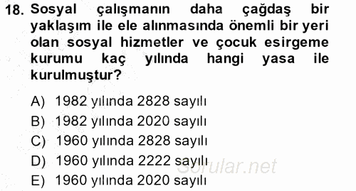 Sosyal Hizmete Giriş 2014 - 2015 Ara Sınavı 18.Soru