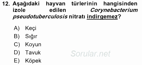 Veteriner Mikrobiyoloji ve Epidemiyoloji 2016 - 2017 Ara Sınavı 12.Soru