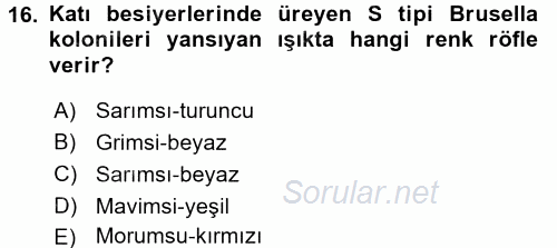 Veteriner Mikrobiyoloji ve Epidemiyoloji 2016 - 2017 Ara Sınavı 16.Soru