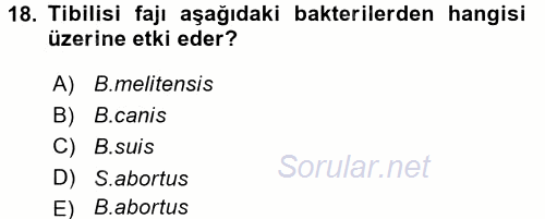 Veteriner Mikrobiyoloji ve Epidemiyoloji 2016 - 2017 Ara Sınavı 18.Soru