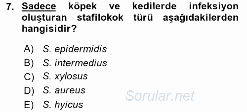 Veteriner Mikrobiyoloji ve Epidemiyoloji 2016 - 2017 Ara Sınavı 7.Soru