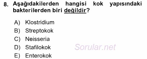 Veteriner Mikrobiyoloji ve Epidemiyoloji 2016 - 2017 Ara Sınavı 8.Soru