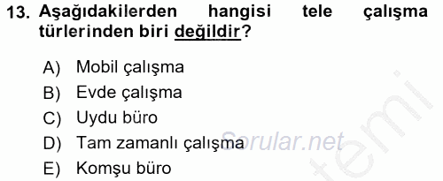 Yeni Teknolojiler ve Çalışma Hayatı 2016 - 2017 3 Ders Sınavı 13.Soru