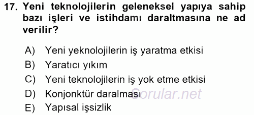 Yeni Teknolojiler ve Çalışma Hayatı 2016 - 2017 3 Ders Sınavı 17.Soru