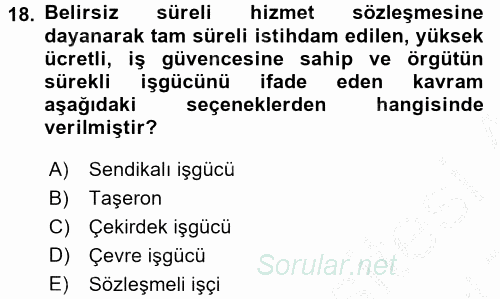 Yeni Teknolojiler ve Çalışma Hayatı 2016 - 2017 3 Ders Sınavı 18.Soru