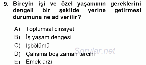 Yeni Teknolojiler ve Çalışma Hayatı 2016 - 2017 3 Ders Sınavı 9.Soru